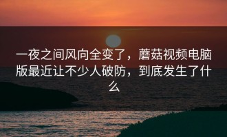 一夜之间风向全变了，蘑菇视频电脑版最近让不少人破防，到底发生了什么