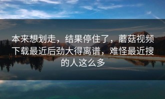 本来想划走，结果停住了，蘑菇视频下载最近后劲大得离谱，难怪最近搜的人这么多