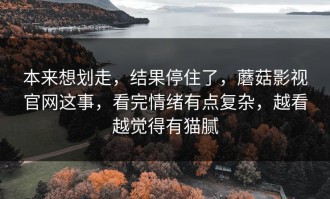 本来想划走，结果停住了，蘑菇影视官网这事，看完情绪有点复杂，越看越觉得有猫腻