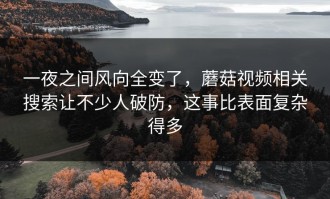 一夜之间风向全变了，蘑菇视频相关搜索让不少人破防，这事比表面复杂得多