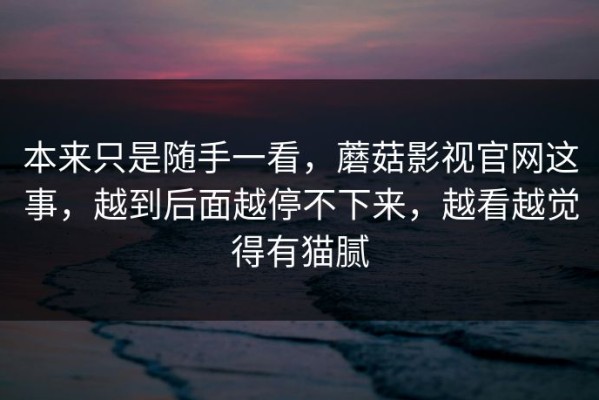 本来只是随手一看，蘑菇影视官网这事，越到后面越停不下来，越看越觉得有猫腻