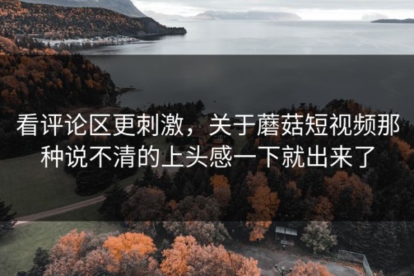 看评论区更刺激，关于蘑菇短视频那种说不清的上头感一下就出来了