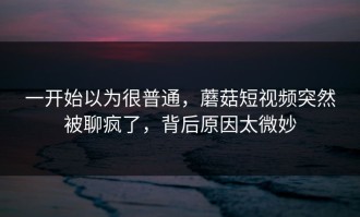 一开始以为很普通，蘑菇短视频突然被聊疯了，背后原因太微妙