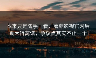 本来只是随手一看，蘑菇影视官网后劲大得离谱，争议点其实不止一个