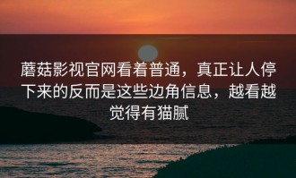 蘑菇影视官网看着普通，真正让人停下来的反而是这些边角信息，越看越觉得有猫腻