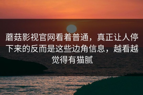 蘑菇影视官网看着普通，真正让人停下来的反而是这些边角信息，越看越觉得有猫腻