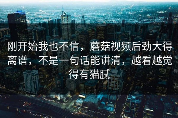 刚开始我也不信，蘑菇视频后劲大得离谱，不是一句话能讲清，越看越觉得有猫腻