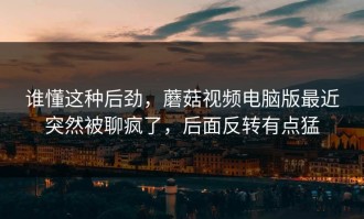 谁懂这种后劲，蘑菇视频电脑版最近突然被聊疯了，后面反转有点猛