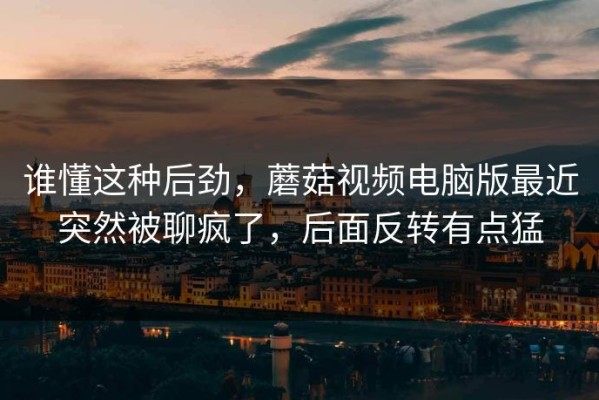 谁懂这种后劲，蘑菇视频电脑版最近突然被聊疯了，后面反转有点猛