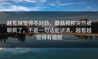 越看越觉得不对劲，蘑菇视频突然被聊疯了，不是一句话能讲清，越看越觉得有猫腻