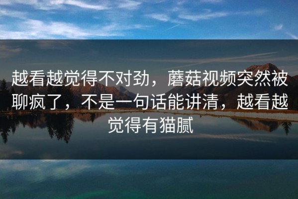 越看越觉得不对劲，蘑菇视频突然被聊疯了，不是一句话能讲清，越看越觉得有猫腻