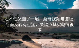 忍不住又翻了一遍，蘑菇视频电脑版，后面反转有点猛，关键点其实藏得很深
