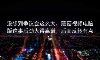 没想到争议会这么大，蘑菇视频电脑版这事后劲大得离谱，后面反转有点猛