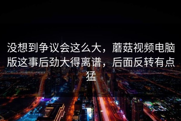 没想到争议会这么大，蘑菇视频电脑版这事后劲大得离谱，后面反转有点猛
