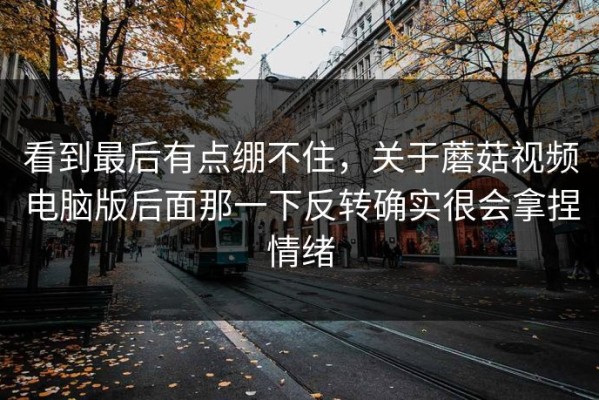 看到最后有点绷不住，关于蘑菇视频电脑版后面那一下反转确实很会拿捏情绪