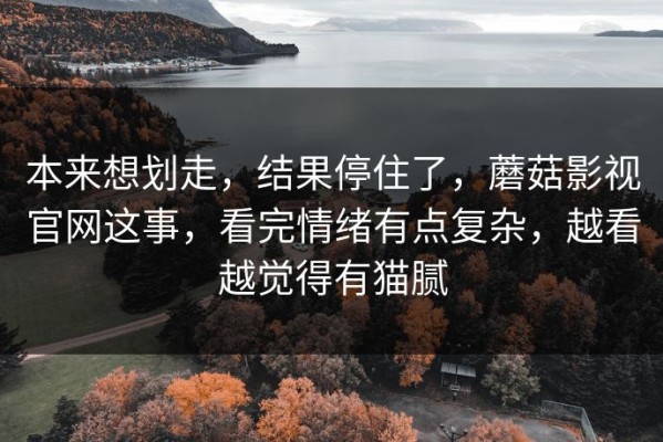 本来想划走，结果停住了，蘑菇影视官网这事，看完情绪有点复杂，越看越觉得有猫腻