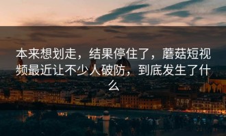 本来想划走，结果停住了，蘑菇短视频最近让不少人破防，到底发生了什么