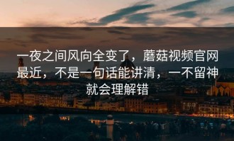 一夜之间风向全变了，蘑菇视频官网最近，不是一句话能讲清，一不留神就会理解错