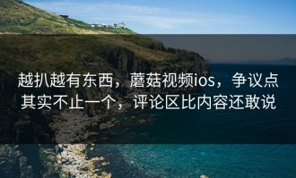 越扒越有东西，蘑菇视频ios，争议点其实不止一个，评论区比内容还敢说