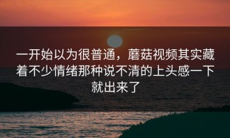 一开始以为很普通，蘑菇视频其实藏着不少情绪那种说不清的上头感一下就出来了