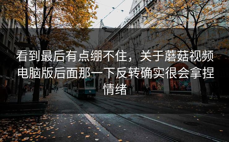 看到最后有点绷不住，关于蘑菇视频电脑版后面那一下反转确实很会拿捏情绪