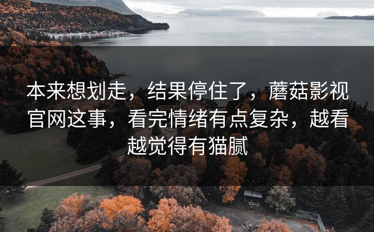 本来想划走，结果停住了，蘑菇影视官网这事，看完情绪有点复杂，越看越觉得有猫腻