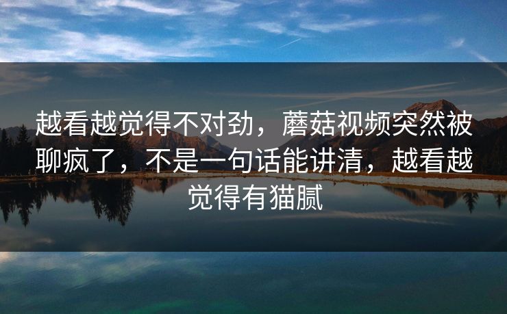 越看越觉得不对劲，蘑菇视频突然被聊疯了，不是一句话能讲清，越看越觉得有猫腻