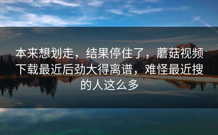 本来想划走，结果停住了，蘑菇视频下载最近后劲大得离谱，难怪最近搜的人这么多