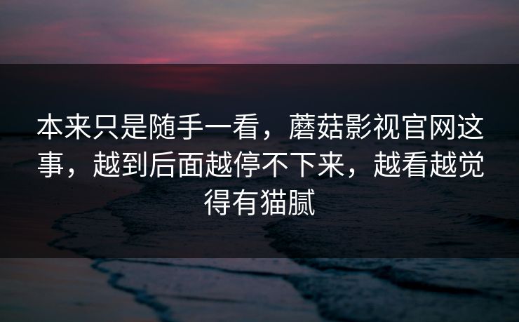 本来只是随手一看，蘑菇影视官网这事，越到后面越停不下来，越看越觉得有猫腻