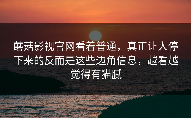 蘑菇影视官网看着普通，真正让人停下来的反而是这些边角信息，越看越觉得有猫腻