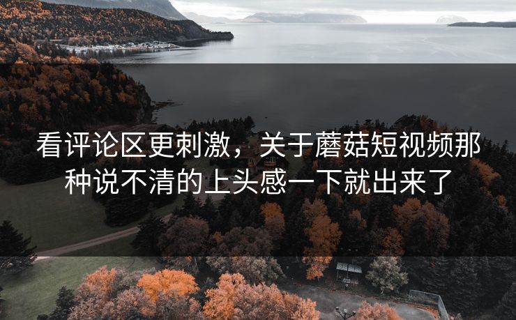 看评论区更刺激，关于蘑菇短视频那种说不清的上头感一下就出来了